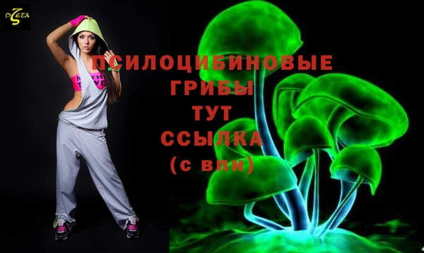 ГАЛЛЮЦИНОГЕННЫЕ ГРИБЫ Абдулино